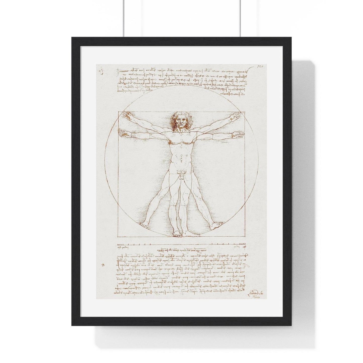 Vitruvian Man (circa 1490) by Leonardo da Vinci, from the Original, Framed Art Print