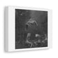 Water Nymphs Retro Black & White Photography on Satin Canvas