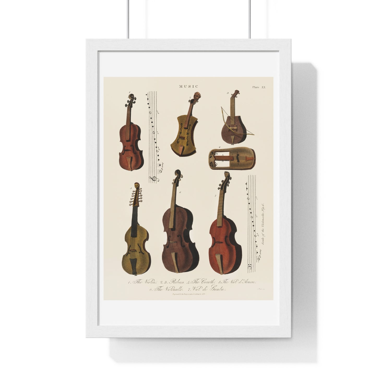 A Collection of Antique Violin, Viola, Cello and More from Encyclopedia Londinensis (1810) from the Original Art Print on Canvas