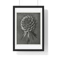 Phacelia Tanacetifolia (Lacy Phacelia) Enlarged 12 Times from 'Urformen der Kunst' (1928) by Karl Blossfeldt, from the Original, Framed Art Print