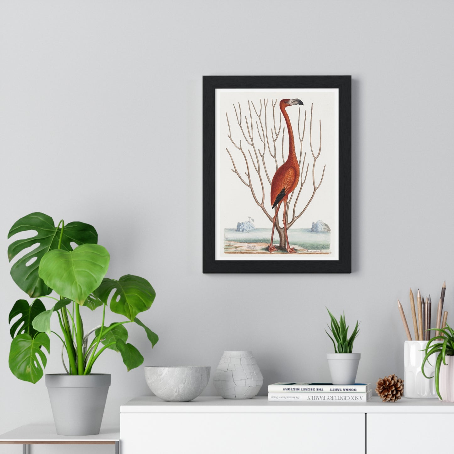 Flamingo (1731–1743) Vintage Illustration by Mark Catesby, from the Original, Framed Art Print