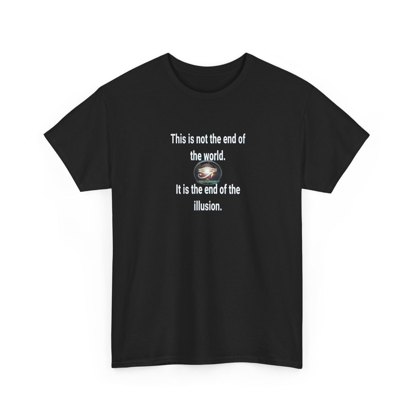 This is Not the End of the World, It's the End of the Illusion T-Shirt