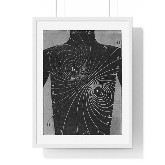 Augustus D Waller, Diagram, Electromotive Properties of the Human Heart, from the Original, Framed Art Print