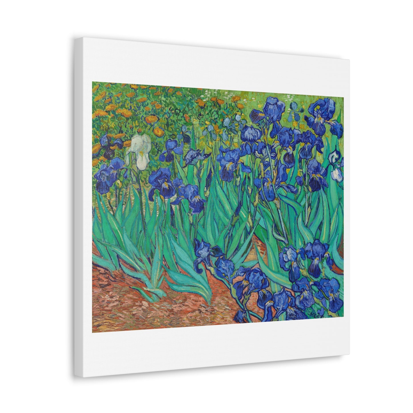 Irises (1889) by Vincent Van Gogh, from the Original, Art Print on Canvas