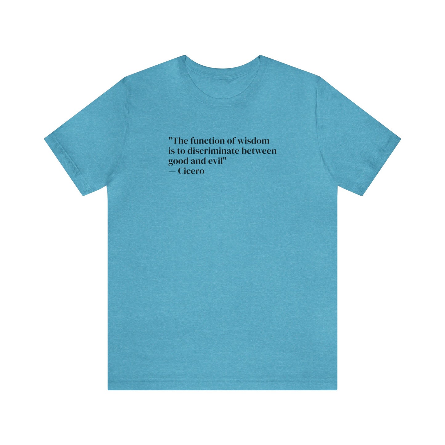 The Function of Wisdom is to Discriminate Between Good and Evil, Soft Jersey T-Shirt