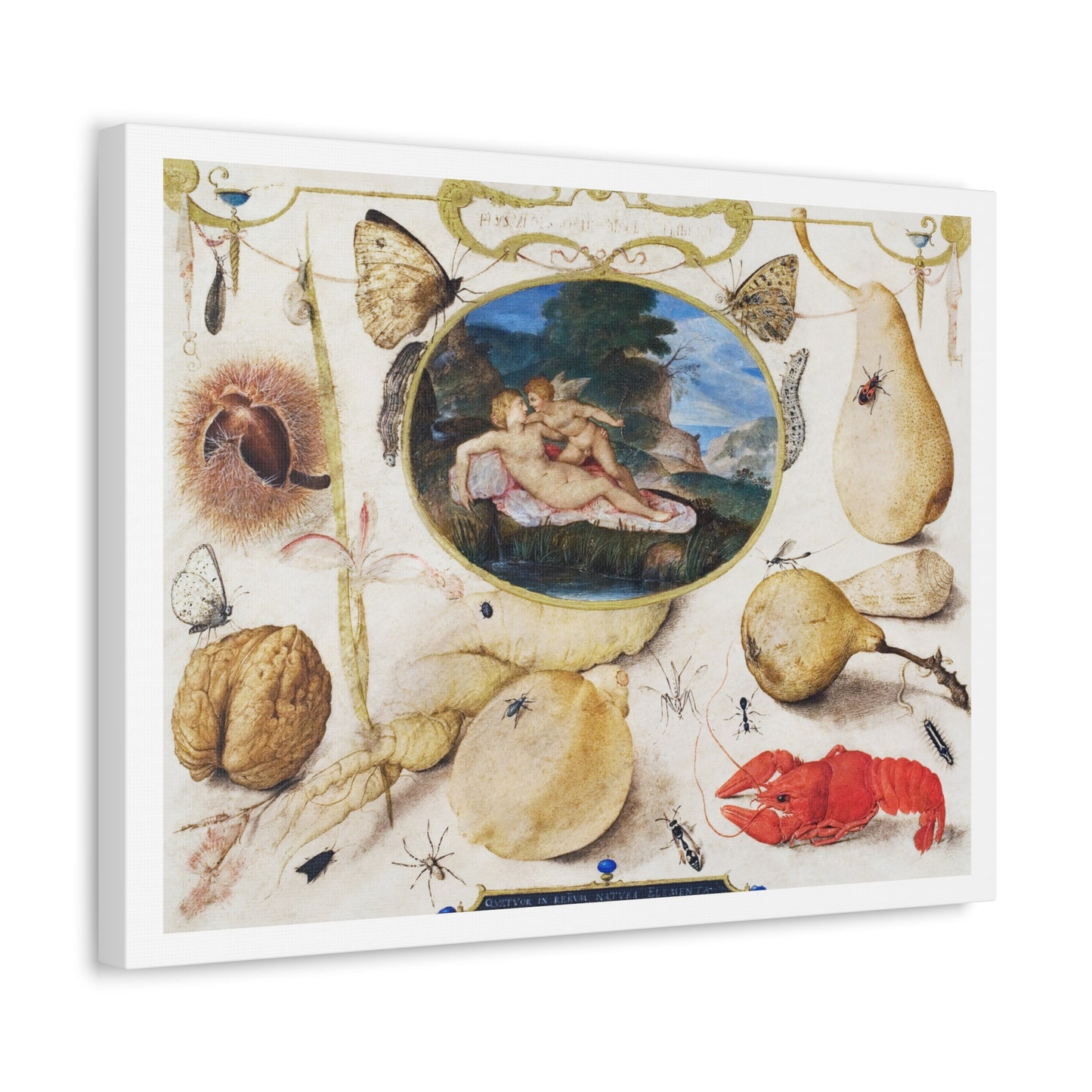Venus Disarming Amor in a Medallion Surrounded by Plants, Fruits, Insects and Shellfish (1593–1597) by Joris Hoefnagel, from the Original, Print on Canvas