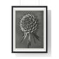 Phacelia Tanacetifolia (Lacy Phacelia) Enlarged 12 Times from 'Urformen der Kunst' (1928) by Karl Blossfeldt, from the Original, Framed Art Print