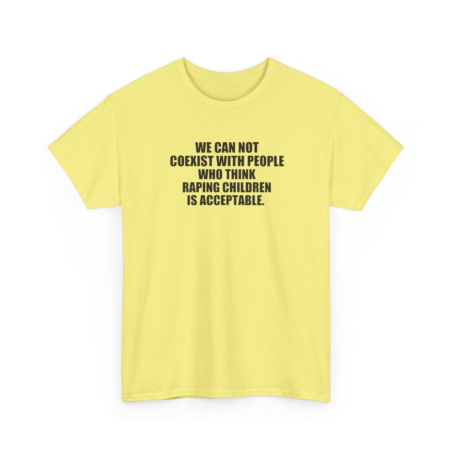 We Cannot Co-Exist with People Who Think Raping Children is Acceptable, Politics T-Shirt