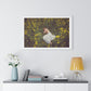 Asleep in the Rapeseed Field 'Designed by AI' Framed Art Print