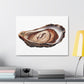 Jewellery Oyster Clam Invertebrate Art Print on Satin Canvas, Stretched