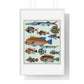 L’Histoire Générale des Voyages (1747-1780) by Unknown, a Collage of Colourful Rare Exotic Fish, from the Original, Framed Print