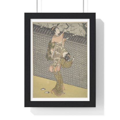 Plucking a Branch from a Neighbour's Plum Tree (1768) Japanese Illustration by Suzuki Harunobu, from the Original, Framed Print