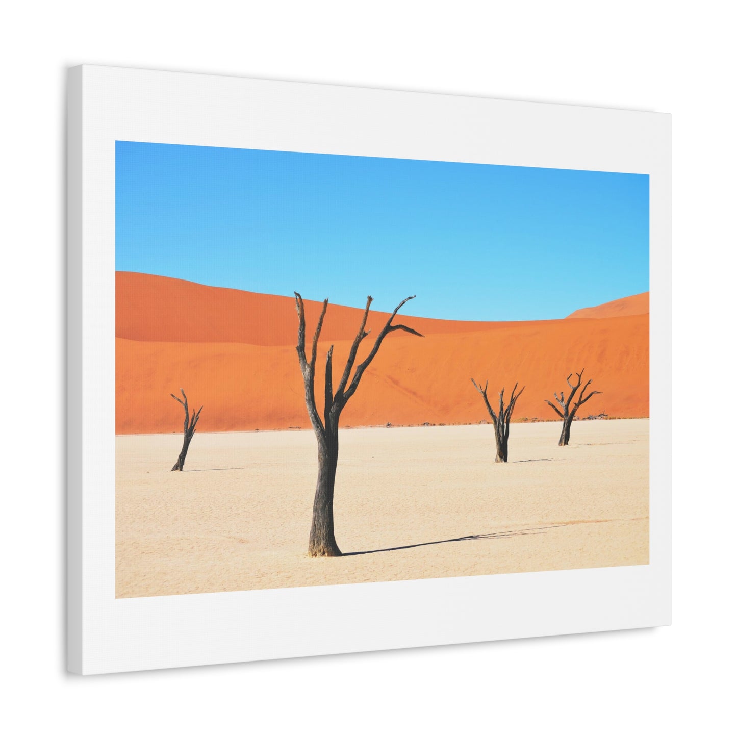 Dead Tree on Desert Illustration, Art Print on Satin Canvas