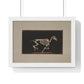 Skeleton of Horse Running, Leaving the Ground (circa 1881) by Eadweard Muybridge, from the Original, Framed Print