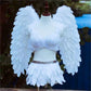 Performance and Show Feather Wings, Bra and Skirt Set