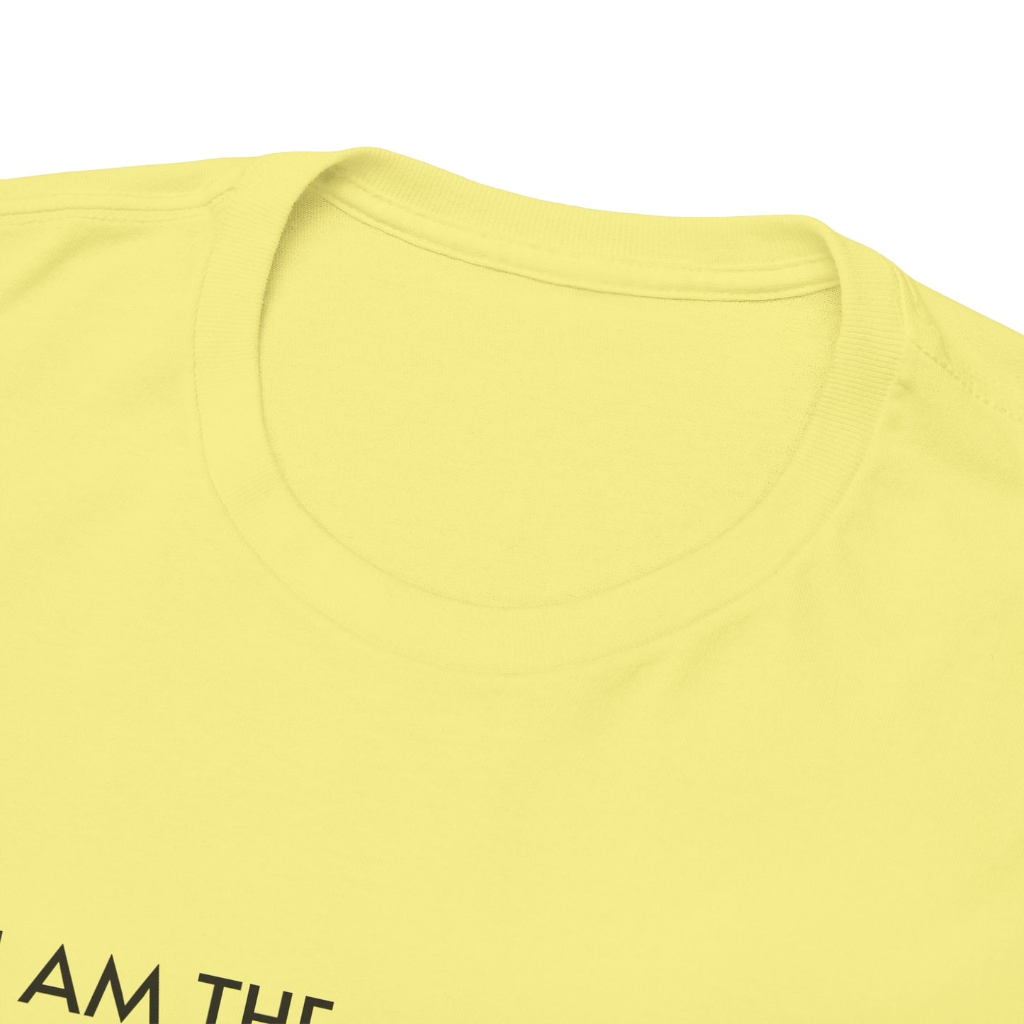 I AM THE PERSON YOUR MAINSTREAM MEDIA WARNS YOU ABOUT! T-Shirt