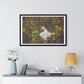 Asleep in the Rapeseed Field 'Designed by AI' Framed Art Print