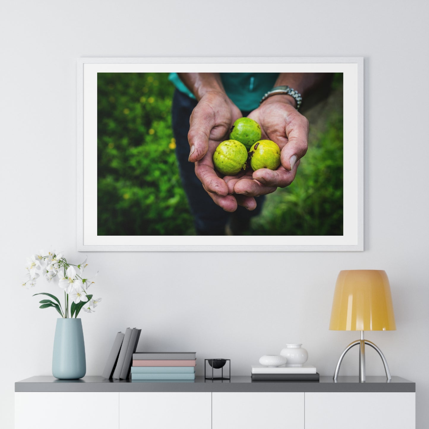 Limes in a Worker's Hands, Photographic Decor, Large Framed Print