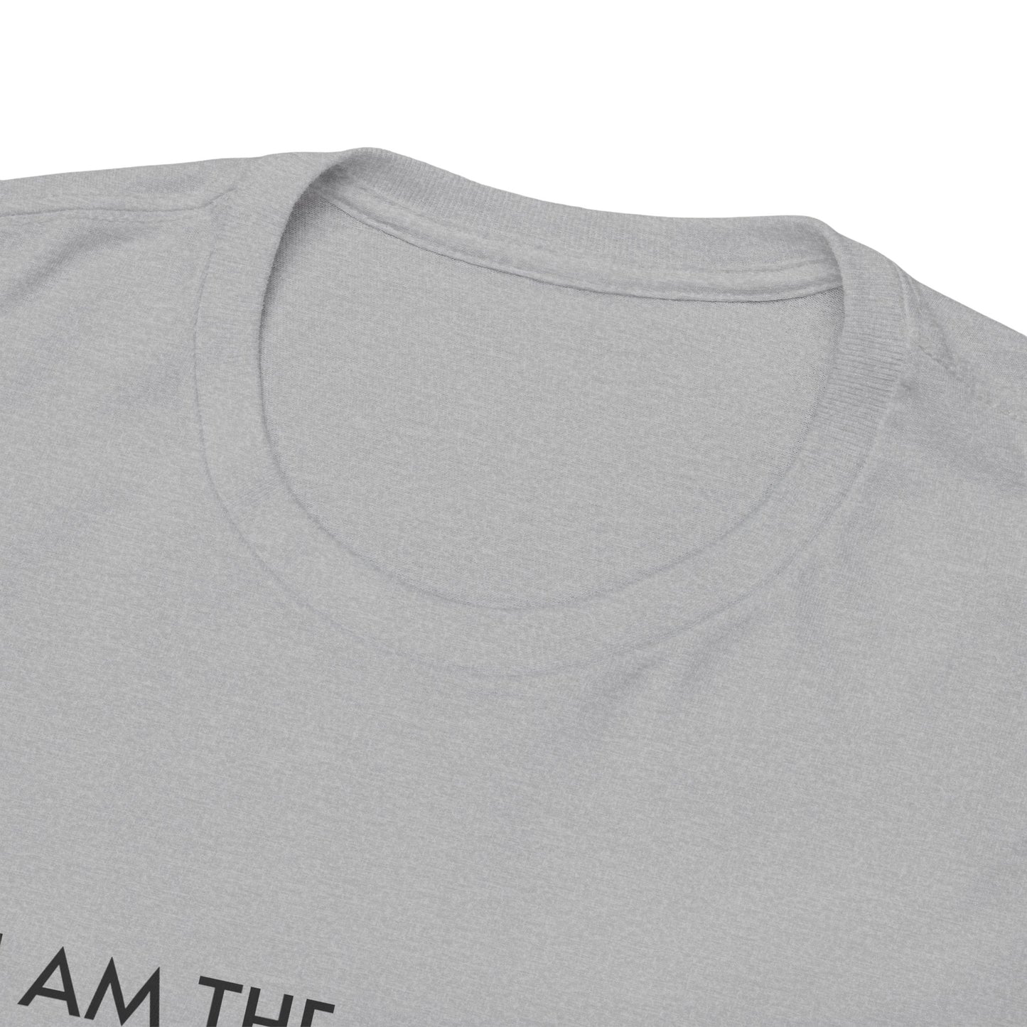 I AM THE PERSON YOUR MAINSTREAM MEDIA WARNS YOU ABOUT! T-Shirt