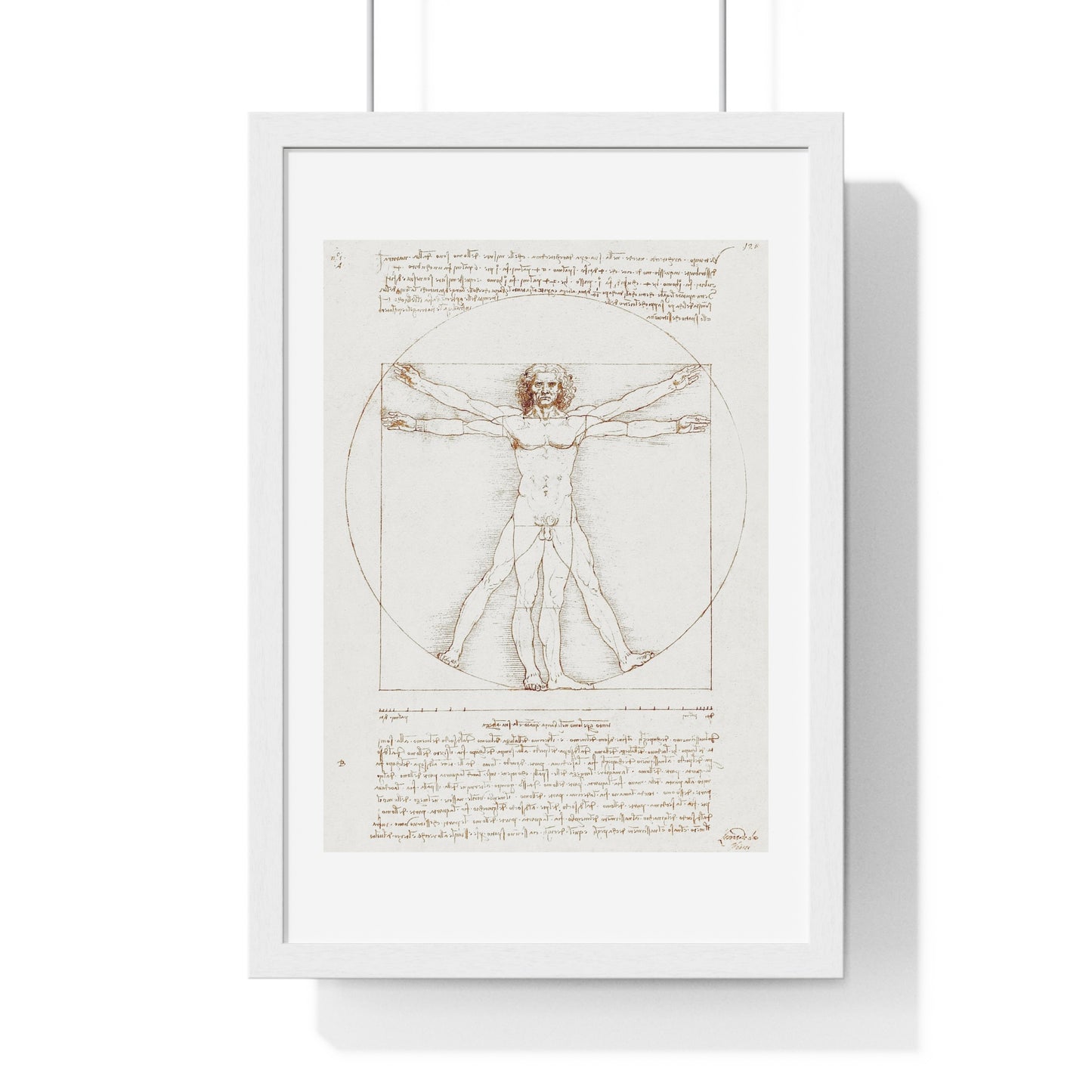 Vitruvian Man (circa 1490) by Leonardo da Vinci, from the Original, Framed Art Print