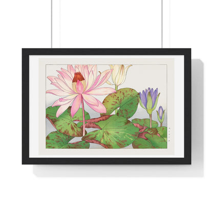 Japanese Woodblock Art, Nymphaea Lotus (1917) by Tanigami Kônan, from the Original, Framed Print