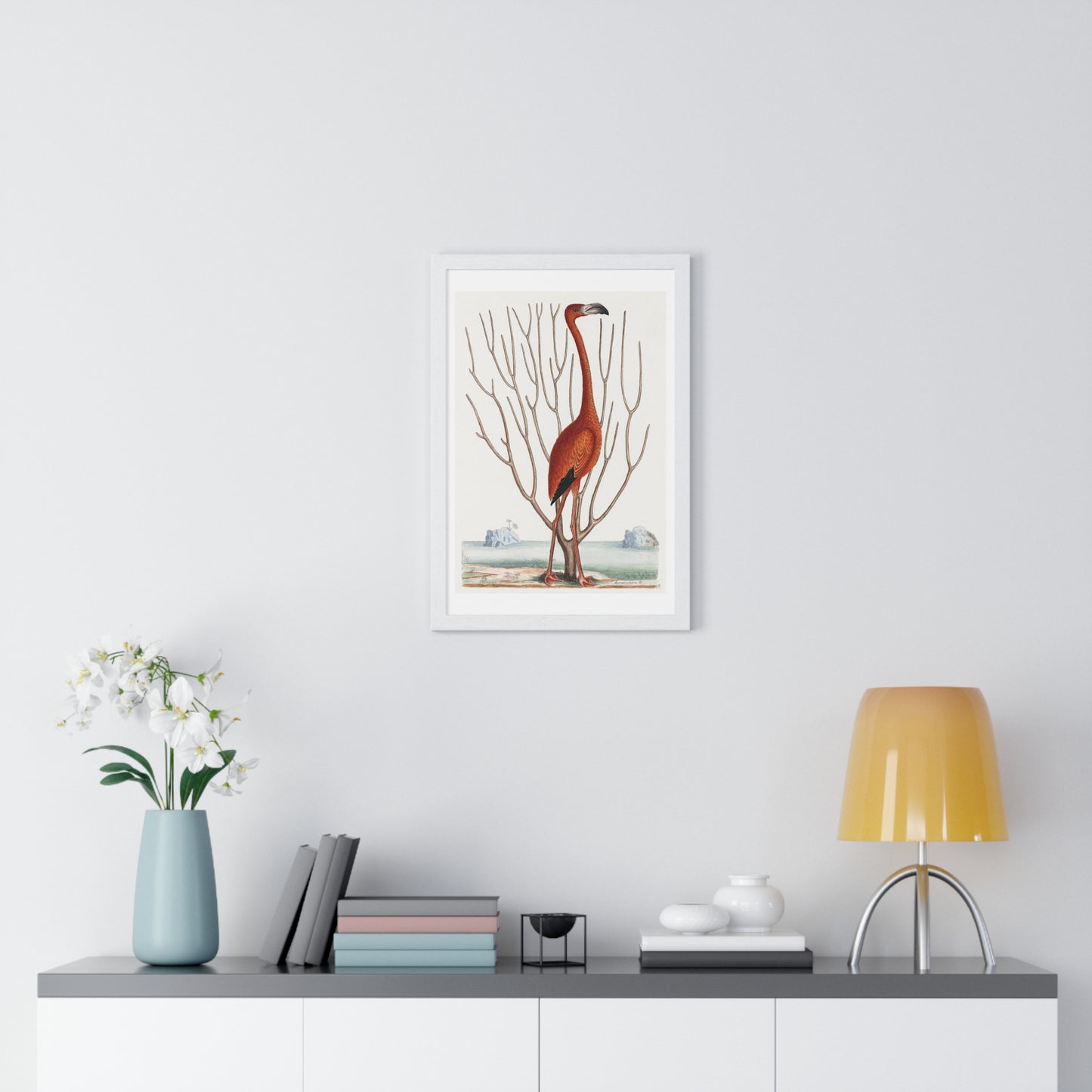 Flamingo (1731–1743) Vintage Illustration by Mark Catesby, from the Original, Framed Art Print