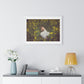 Asleep in the Rapeseed Field 'Designed by AI' Framed Art Print