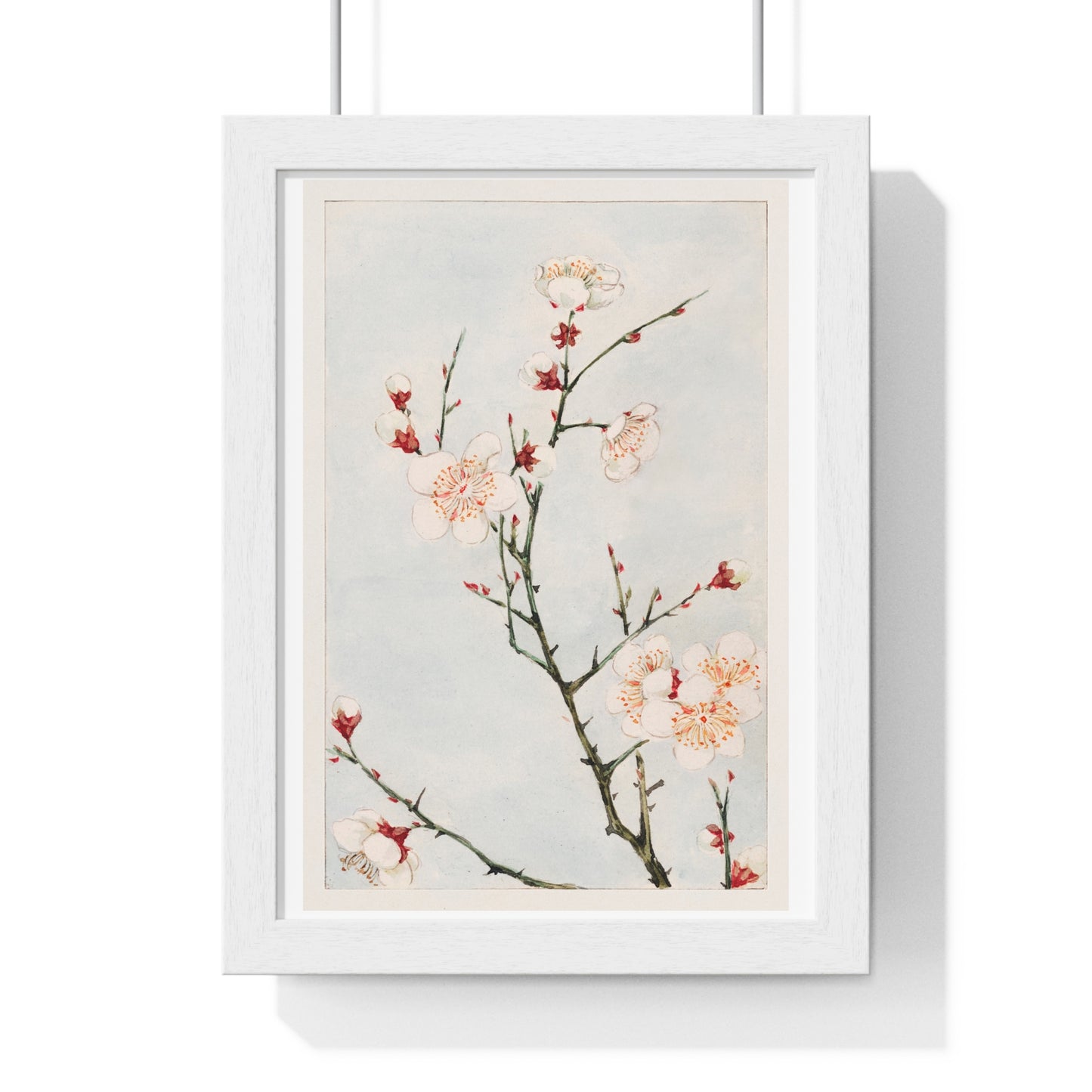 Plum Branches with Blossoms (1870–1880) by Megata Morikaga, from the Original, Framed Art Print