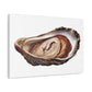 Jewellery Oyster Clam Invertebrate Art Print on Satin Canvas, Stretched