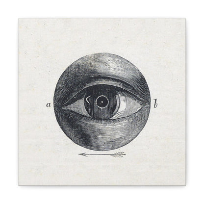 Menselijk Oog met een Afwijking 'Human Eye with an Abnormality' (1836–1912 by Isaac Weissenbruch, Art Print from the Original on Canvas