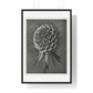 Phacelia Tanacetifolia (Lacy Phacelia) Enlarged 12 Times from 'Urformen der Kunst' (1928) by Karl Blossfeldt, from the Original, Framed Art Print