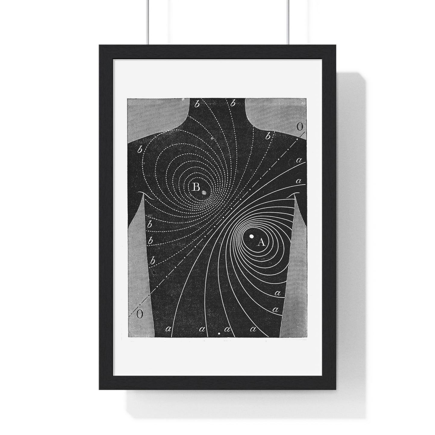 Augustus D Waller, Diagram, Electromotive Properties of the Human Heart, from the Original, Framed Art Print