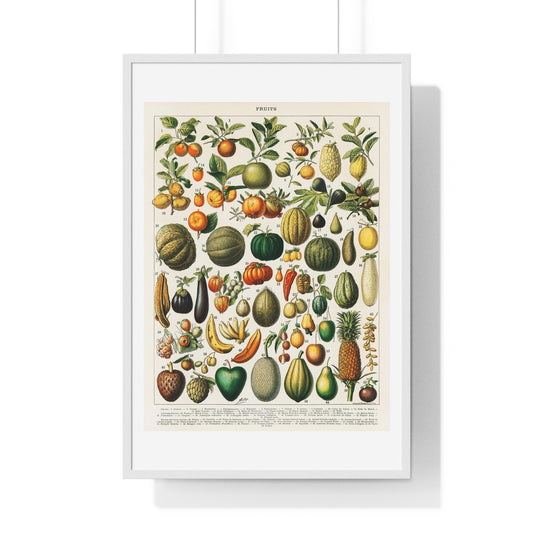 Vintage Illustration of Fruits and Vegetables from 'Nouveau Larousse Illustre' (1898), by Larousse, Pierre, Augé and Claude, from the Original, Framed Print