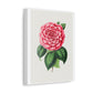 Hand Drawn Red Camellia, Art Print from the Original on Canvas