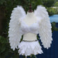 Performance and Show Feather Wings, Bra and Skirt Set