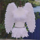 Performance and Show Feather Wings, Bra and Skirt Set