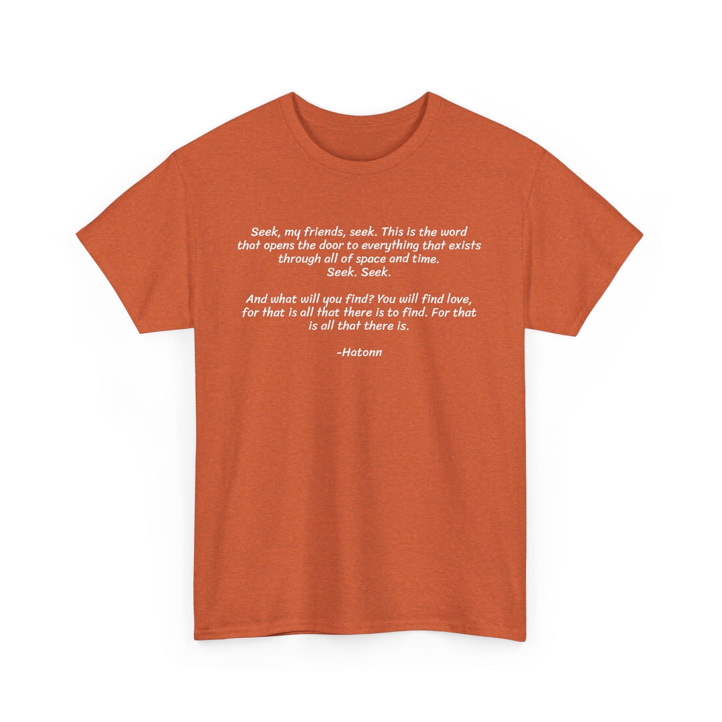 Seek My Friends, Seek. Because That is the Door to Everything, Spiritual T-Shirt