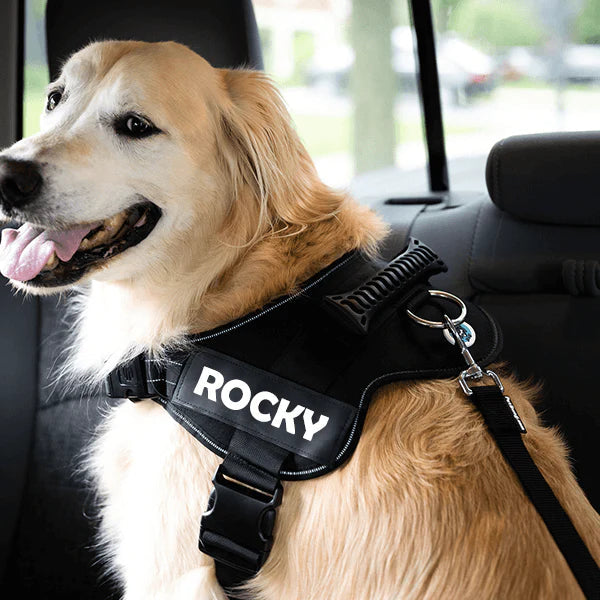 調節可能な犬用車用安全シートベルト