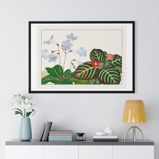 Vintage Tydea and Cape Primrose Flower (1917) Japanese Woodblock Art by Kônan Tanigami, from the Original, Framed Art Print