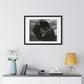 Nothing Else Matters, Romantic Black and White Photographic Art, Large Framed Print