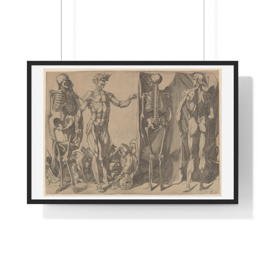 Two Flayed Men and Their Skeletons (1540–1545) by Domenico del Barbiere, from the Original, Framed Print