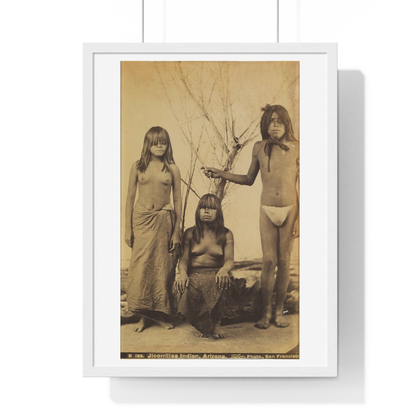 Jicorillas Indian, Arizona (circa 1875) Photographed by Isaiah West Taber, from the Original, Framed Print