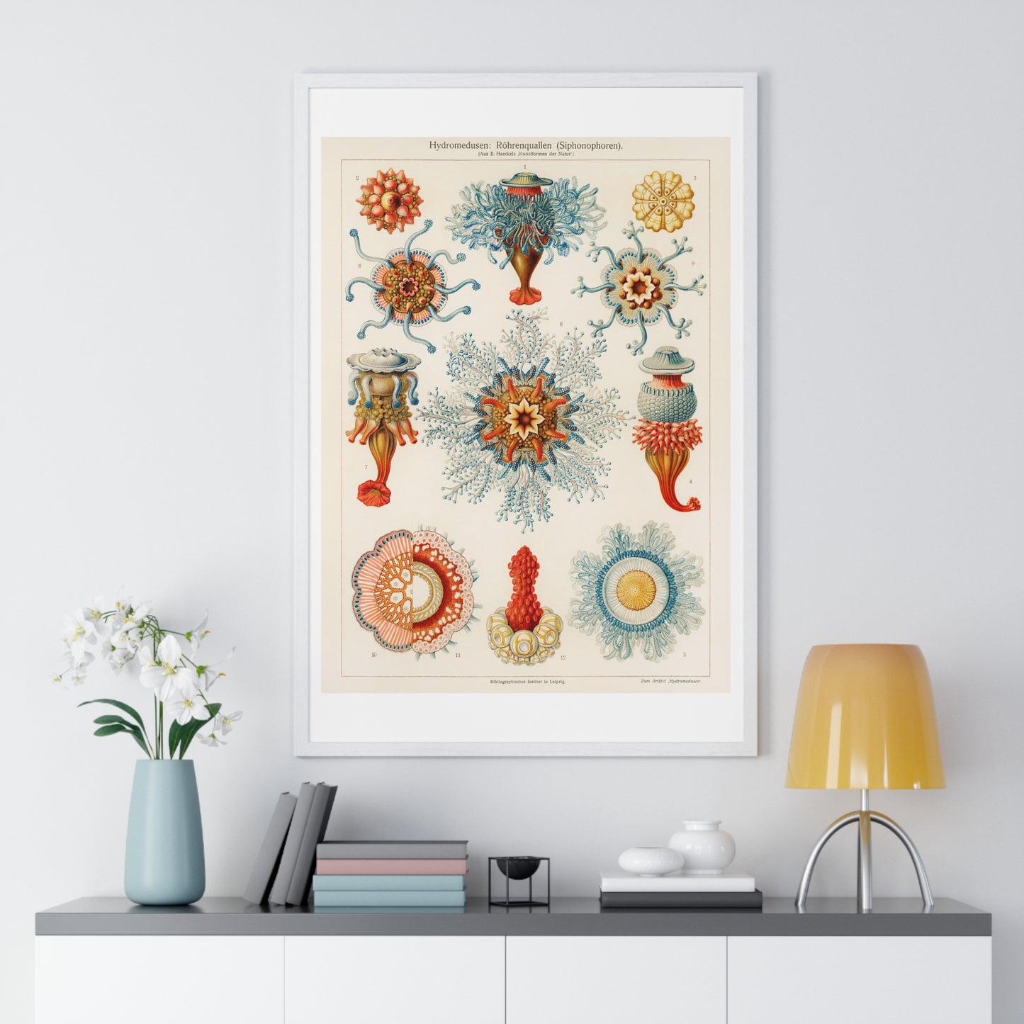 Vintage Jellyfish Illustration from 'Kunstformen der Natur' by Ernst Haeckel, from the Original, Framed Print