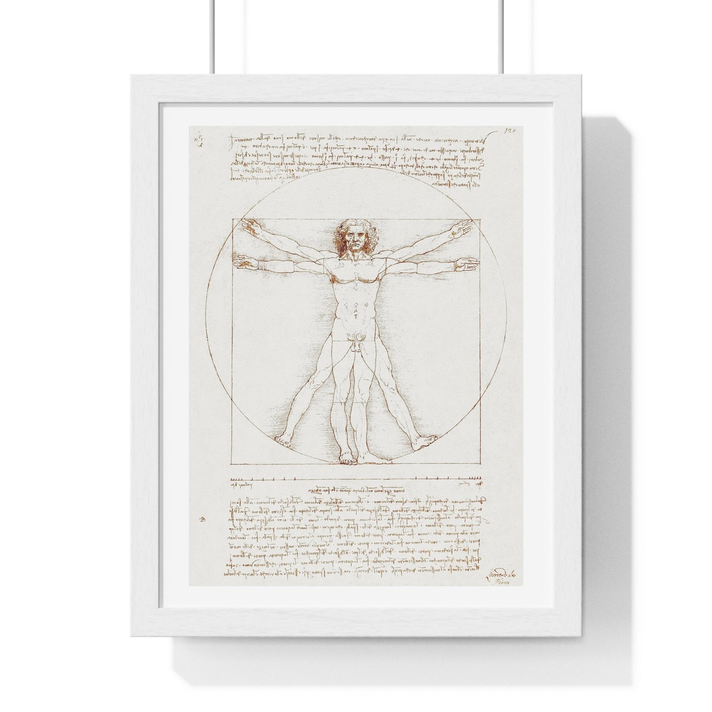 Vitruvian Man (circa 1490) by Leonardo da Vinci, from the Original, Framed Art Print