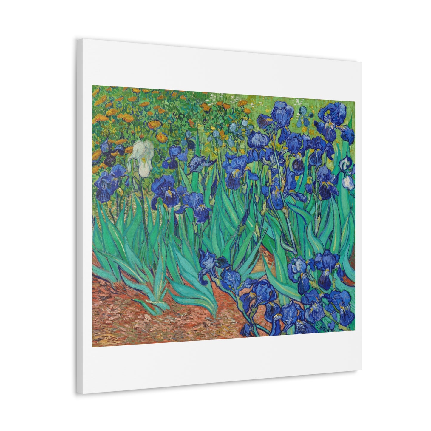 Irises (1889) by Vincent Van Gogh, from the Original, Art Print on Canvas