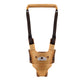 Early Learning Baby Walking Harness