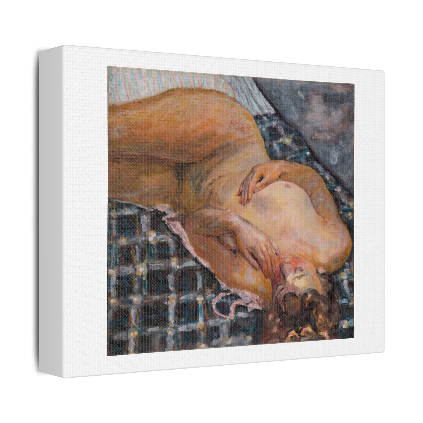 Reclining Nude Against a White and Blue Plaid (circa 1909) by Pierre Bonnard, Art Print on Canvas