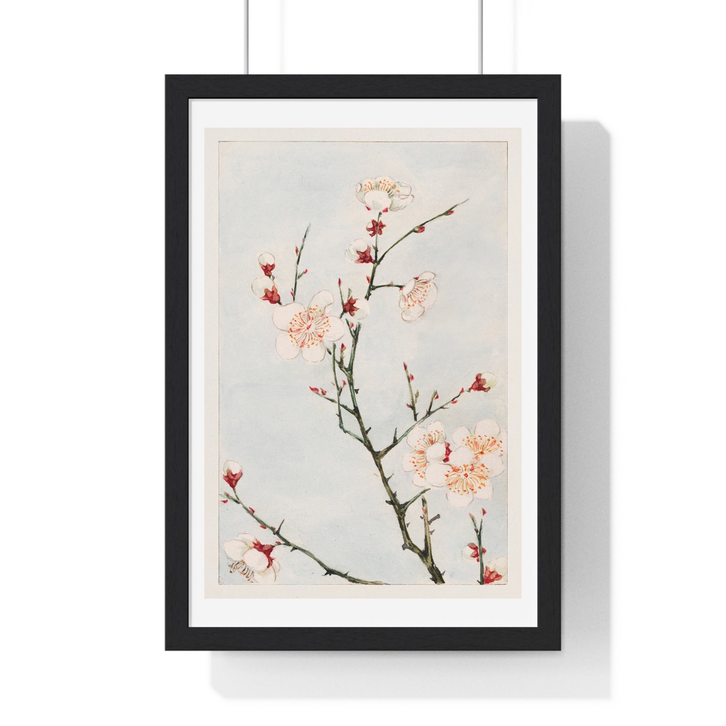 Plum Branches with Blossoms (1870–1880) by Megata Morikaga, from the Original, Framed Art Print