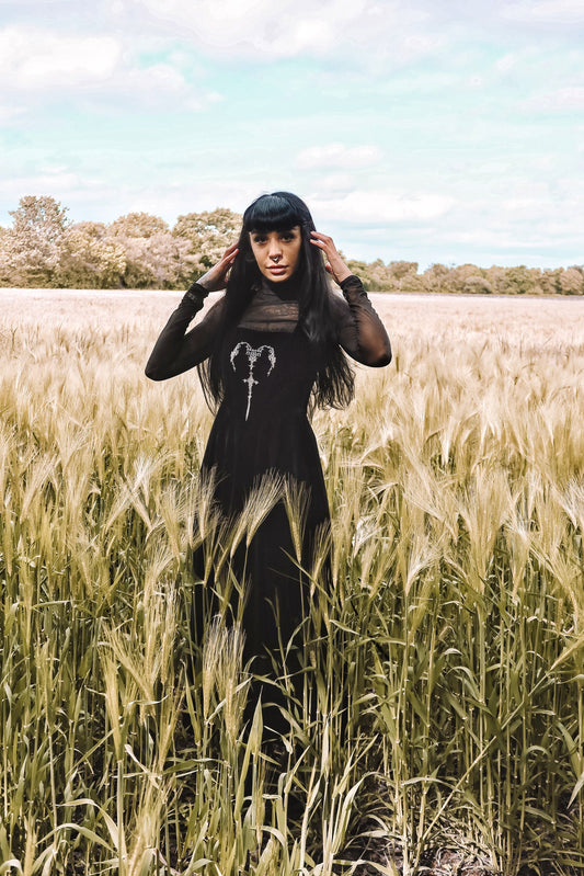 Dark in Love Lux Black Velvet Horn Embroidery Maxi Dress