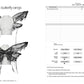 Punk Rave Morrigan Gothic Butterfly Costume Wings in Black